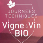 Vigne Vin BIO