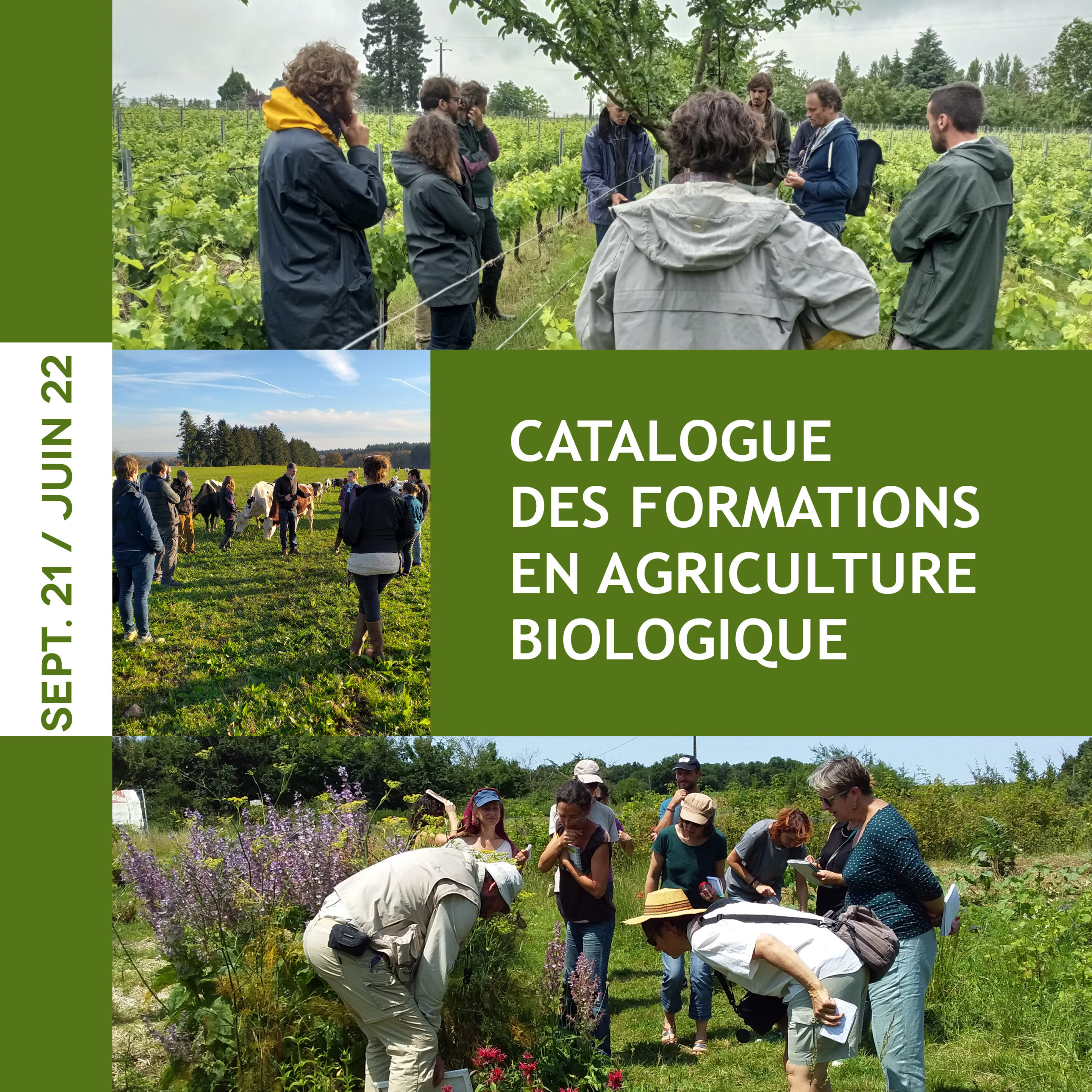 Formations en agriculture biologique - Image Formation Site Web ScaleD